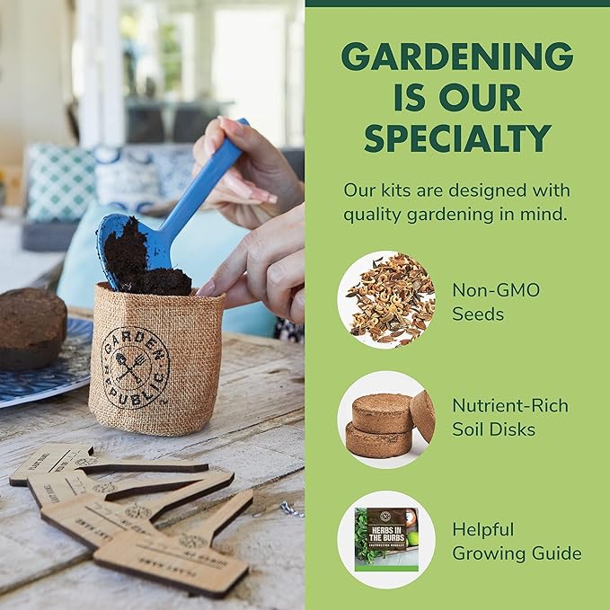 Indoor Herb Garden Starter Kit - Heirloom, Non-GMO Herb Seeds - Basil Thyme Parsley Cilantro Seed, Potting Soil, Pots, Scissors - DIY Grow Kits for Growing Herbs Indoors, Kitchen, Balcony, Window Sill