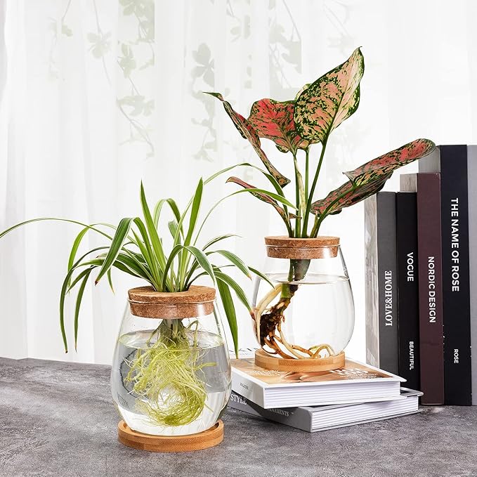 Biggun Plants Propagation Station - 2Pcs Desktop Plant Terrarium Glass Hydroponic Vases, Water Plant Jars, Gardening Gifts for Women Mom Plant Lovers (Water Drop Shape, Separated Tray Style)