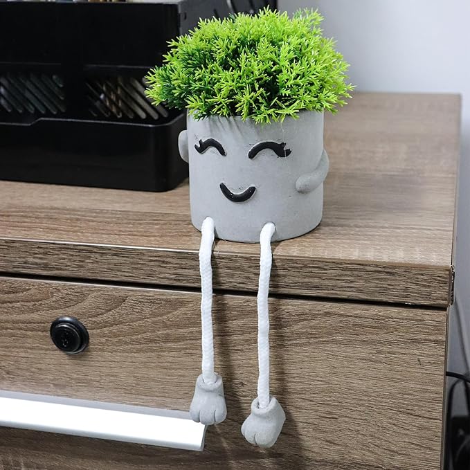 MAKHOT 2pcs Cute Artificial Succlent Plants with Pots, Fuax Plant Bathroom Decor-Office Desk Decorations for Women-Fake Plants Decorations for Work Office Shelf-Mini Potted Small Plant Home Decor