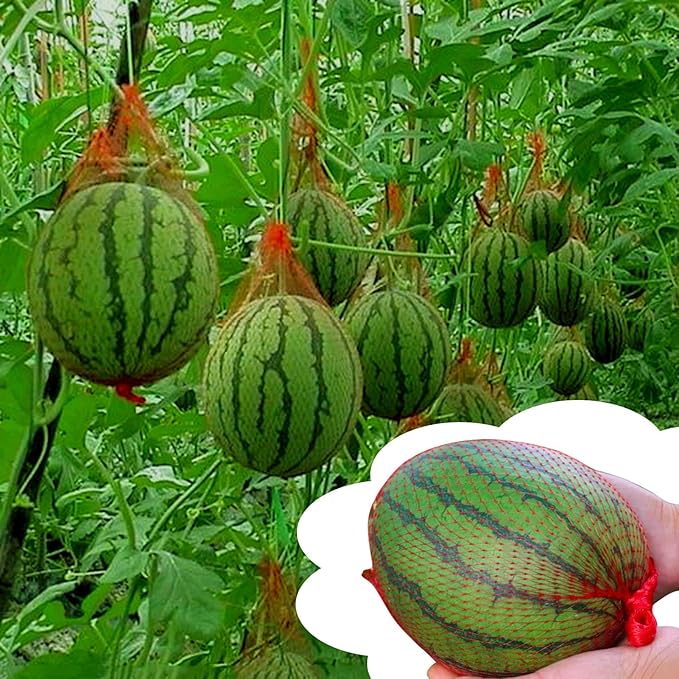 50 Pack Watermelon Nets 17.7 Inches Red Onion Mesh Bags Reusable Honeydew Melon Nets Melon Hammock Hanging Bags for Supporting Garden Growing Cantaloupes Vegetables Honeydew (7-22lbs)