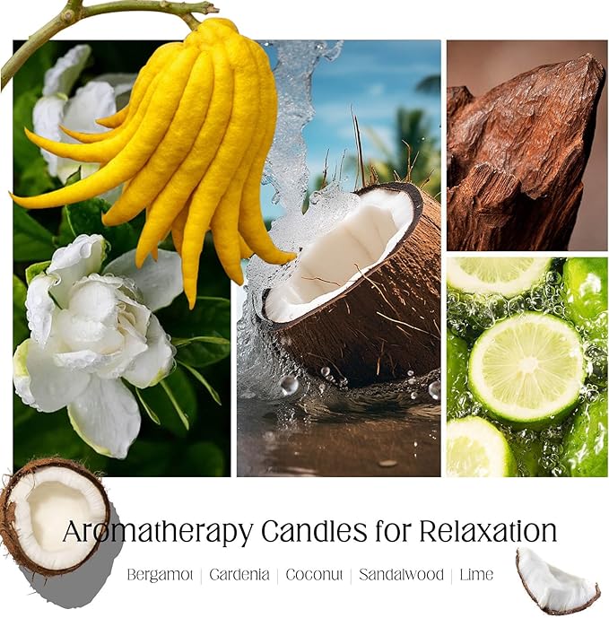 Summer Breeze Candles for Home Scented - 8oz Aromatherapy Candles for Relaxation Stress Relief Anxiety Soothing Perfect Calming Candles Gifts for Women Ideal for Yoga Meditation Sleep Healing Relaxing