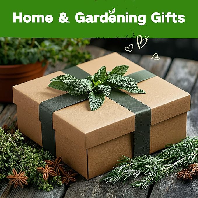 Lush&Dew Culinary Herbs Kitchen Garden Heirloom Seed Bank, Gardening Gifts, 16 Varieties Non-GMO Seeds for Planting Herb in Raised Garden Beds Windowsill, Survival Seed Kit, Cooking Spices Basil Dill