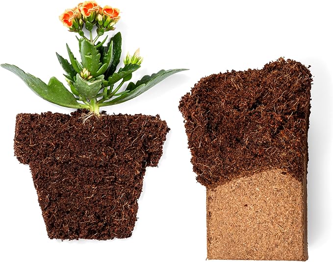Coco Coir 650gm Bricks (5-Pack) - Organic Coco Coir for Plants & Gardening - OMRI-Listed Cocopeat for Garden Soil, Seed Starter Soil, & Mulch - Organic Coconut Bricks - Coconut Fiber Potting Mix