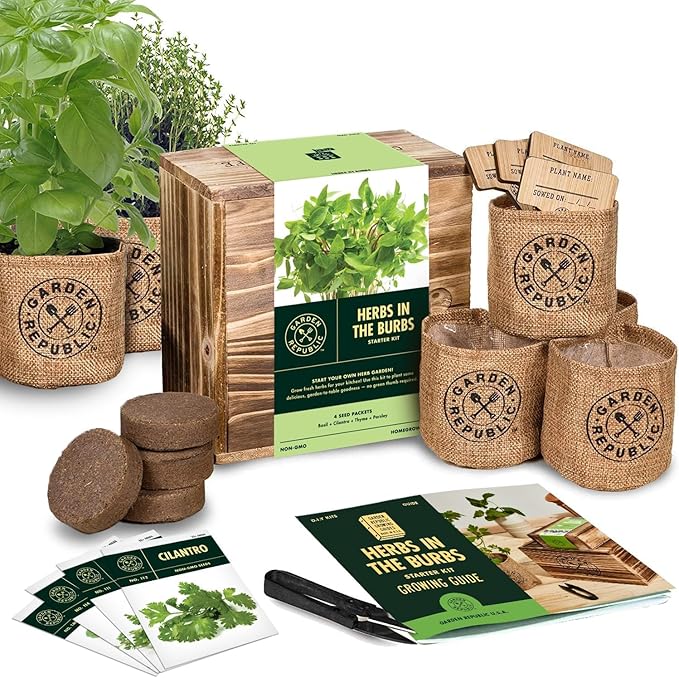 Indoor Herb Garden Starter Kit - Heirloom, Non-GMO Herb Seeds - Basil Thyme Parsley Cilantro Seed, Potting Soil, Pots, Scissors - DIY Grow Kits for Growing Herbs Indoors, Kitchen, Balcony, Window Sill