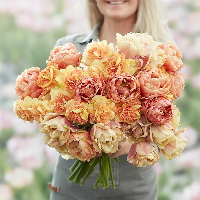 Eden Brothers Tulip & Daffodil Sun Kissed Mix