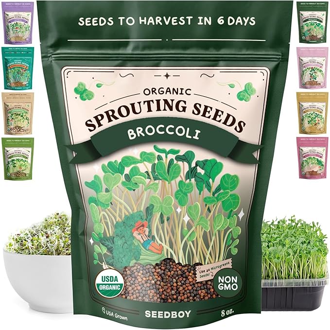 Seedboy Organic Broccoli Seeds for Sprouting - Non-GMO, USA Grown Microgreens Sprouting Seeds Mix - Makes 8 Quarts of Sprouts, 24 Servings (8 oz) (Di Cicco Broccoli)