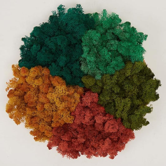 Preserved Reindeer Moss Natural Green DIY Kit Gardenning Art Wall Decor Florist Decor Easter Table Decor Wedding