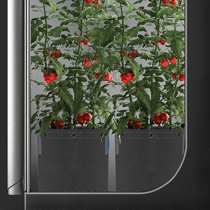 AC Infinity Heavy Duty Fabric Pots, 7 Gallon Aeration Grow Bags 5-Pack with 500G Thick Nonwoven Fabric and Multi-Purpose Rings, for Low Stress Plant Training Fruits, Vegetables, and Flowers