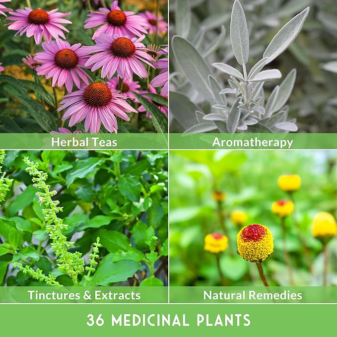 Ultimate Medicinal Herb Seeds Variety Pack – 36 Heirloom Non-GMO Healing Herbs for Planting | Wellness & Apothecary Garden Kit for Herbalists, Homesteaders – Survival Garden Seeds (28,000+)