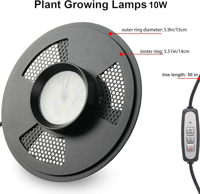 Desktop Glass Plant Terrarium with Grow Light(L7.8 W7.8 H14), for Succulent, Moss, Miniature Gardening Landscape, Betta Fish Tank, Indoor Plant Growth, Office Home Decoration (TimeControlled)