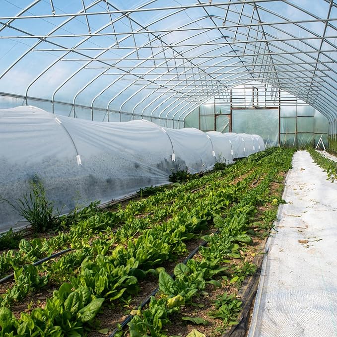 Jetec 64 Pieces Pool Cover Clamps for Above Ground Pools PVC Pipe Clips for Greenhouses, Row Covers, Shelters, Bird Protection, 2.4 Inches Long(3/4 Inch,White)