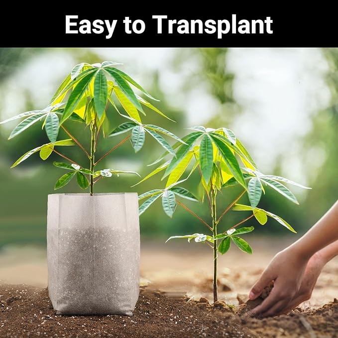 Seedling Nursery Bags, 100pcs 9.8 x 9.8 in Non Woven Fabric Nursery Grow Pouch, Thickened Plant Grow Bags for High Seedling Survival Rate