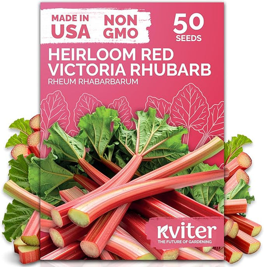 KVITER 50 Red Victoria Rhubarb Seeds for Planting (Rheum Rhabarbarum) – Organic & Heirloom Seeds, Perennial Vegetable Seeds – Perfect for Rhubarb Jam & Pies, Grow in Beds & Outdoor Garden