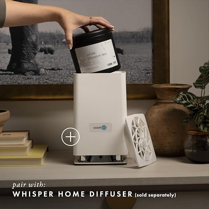 ScentAir Whisper Home Monthly Plug-in Refill, Fragrance Cartridge for Home and Office, White Blossom Tea