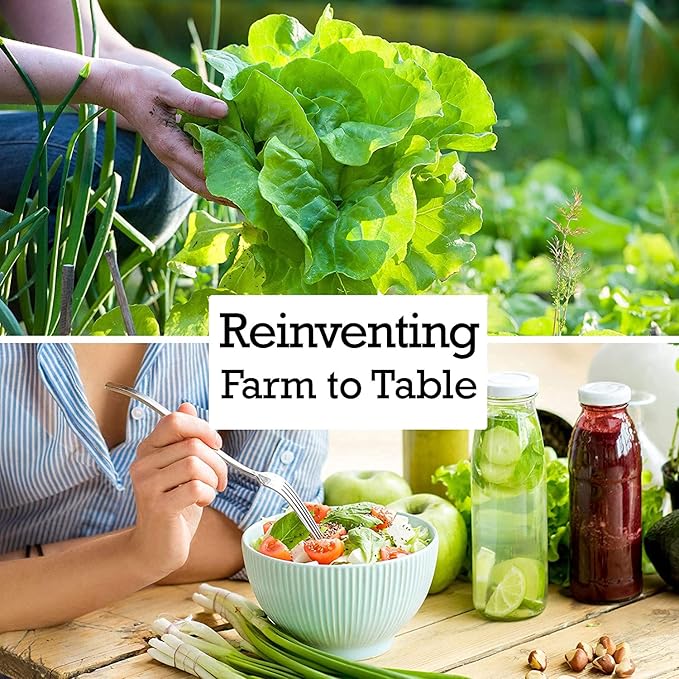 White Russian Kale Seeds for Planting – Plant & Grow Heirloom White Russian Kale in Home Outdoor Vegetable Garden, Brassica Napus – 5 Packets