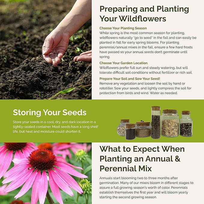 Eden Brothers Heirloom Flower Mixed Seeds for Planting, 1 lb, 480,000+ Seeds with Zinnia, Toadflax, Evening Primrose | Attracts Pollinators, Plant in Spring or Fall, Zones 3, 4, 5, 6, 7, 8, 9, 10