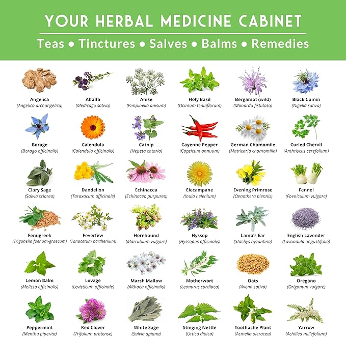 Ultimate Medicinal Herb Seeds Variety Pack – 36 Heirloom Non-GMO Healing Herbs for Planting | Wellness & Apothecary Garden Kit for Herbalists, Homesteaders – Survival Garden Seeds (28,000+)