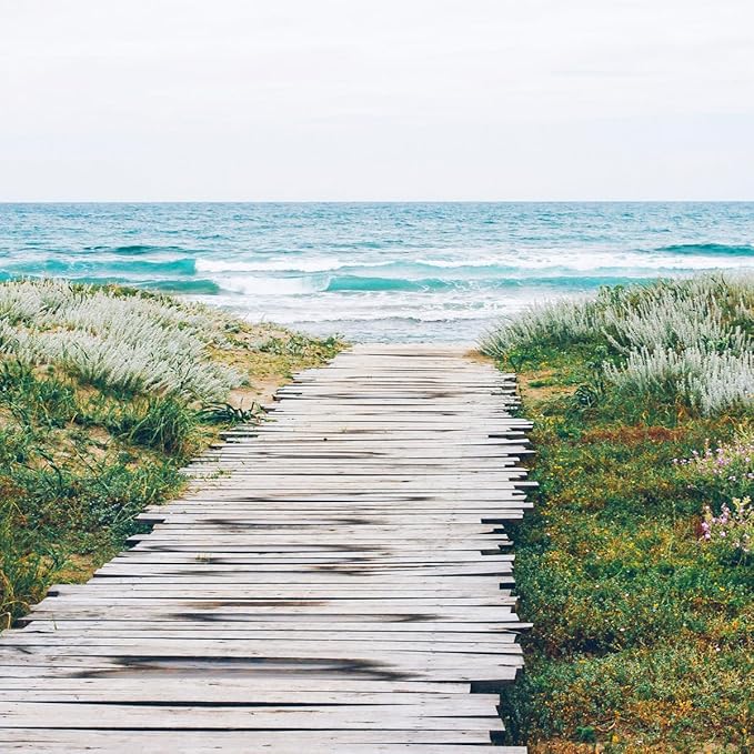 Aera Smart Home Fragrance Diffuser and Beach House Scent Refill Bundle - Alexa Compatible, Hypoallergenic, Family and Pet Safe, App Controlled