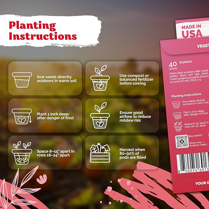 KVITER 40 Soy Bean Midori Giant Edamame Seeds (Glycine max) - Green Soybean, Soy Beans Organic Non GMO Variety, Sweet Nutty Flavor - Heirloom Vegetable Seeds for Planting Outdoors in Home Garden