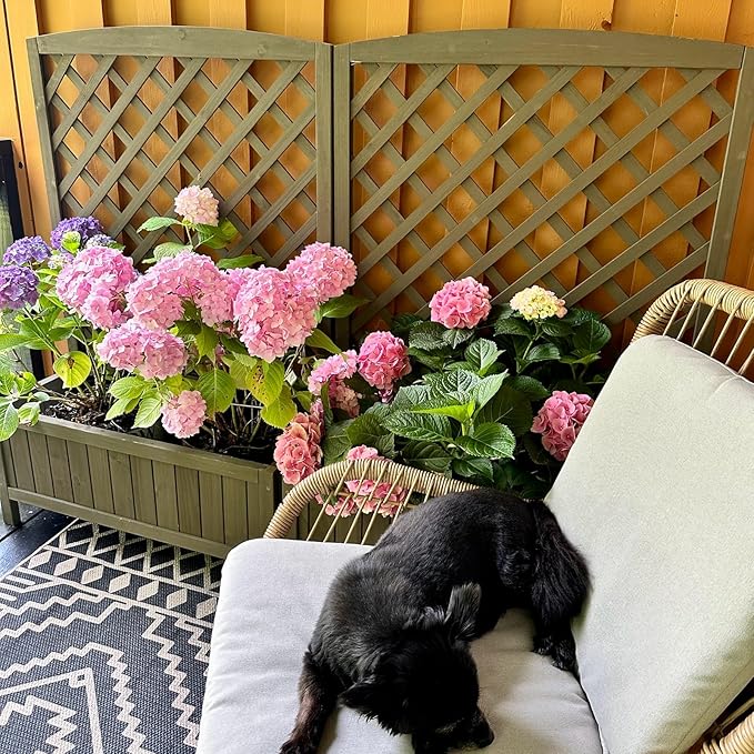 Aivituvin Planter with Trellis Raised Garden Bed Large Garden Box Outdoor for Flower Standing Vertical Lattice Panels for Vine