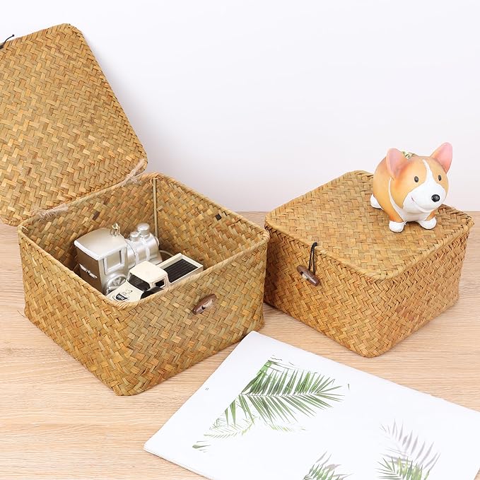 Wicker Shelf Baskets with Lid, Handwoven Seagrass Storage Basket Bins Square Gift Boxes for Shelves Home Decor Organizer (Natural, X-Small)