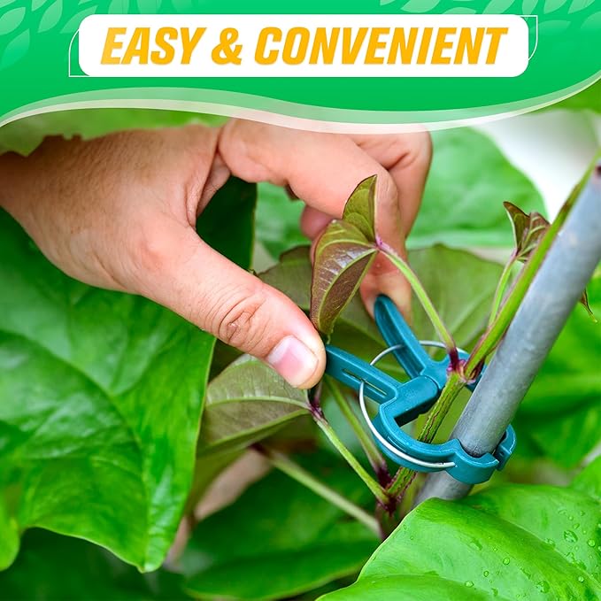 Tomato Clips for Garden - 60 Pcs 2 Sizes Plastic Tomato Plant Clips for Support & Upright Growth, Reusable & Adjustable, Gentle & Reliable Fixation, Easy to Use - for Stems, Flowers, Vines, Vegetables