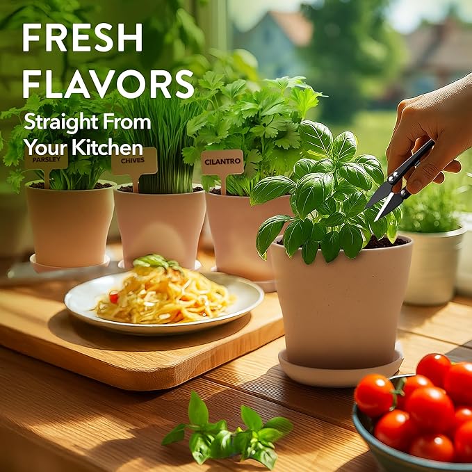 HOME GROWN Indoor Herb Garden Kit – Unique Christmas Gift for Adults, Men, & Women - Grow 4 Heirloom Herb Seeds for Kitchen Window Garden – Beginner DIY Craft & Hobby Gardening Gift for Plant Lovers