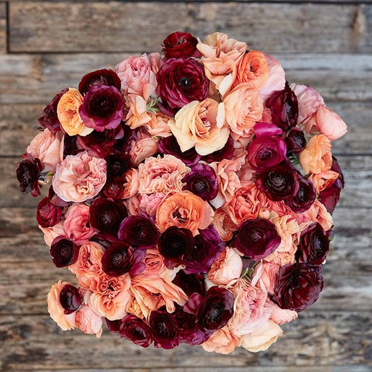 Eden Brothers Ranunculus Bulbs - Princess Bride Mix