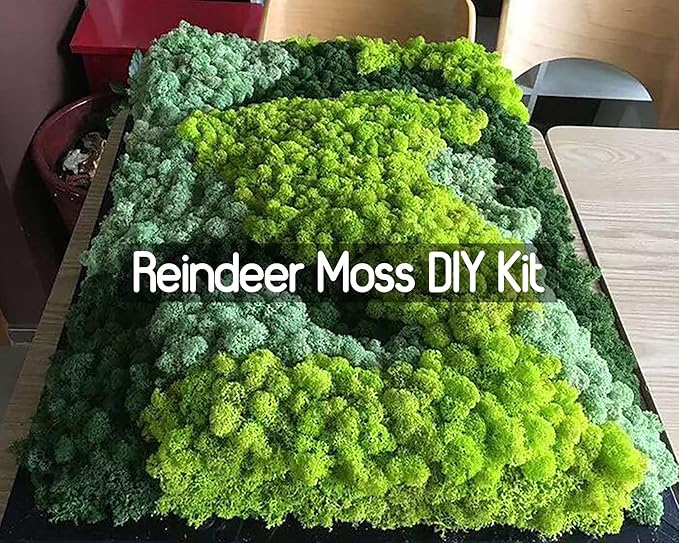 Preserved Reindeer Moss Natural Green DIY Kit Gardenning Art Wall Decor Florist Decor Easter Table Decor Wedding