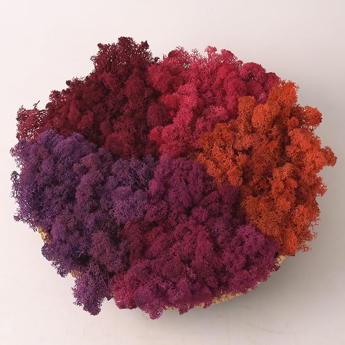 Preserved Reindeer Moss Natural Green DIY Kit Gardenning Art Wall Decor Florist Decor Easter Table Decor Wedding