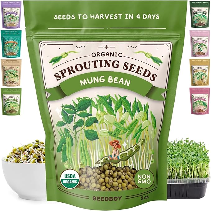 Seedboy Organic Mung Bean Seeds for Sprouting - Non-GMO, USDA Organic Sprouting Seeds Mix - Makes 5 Quarts of Sprouts, 15 Servings (8 oz) (Mung Bean)