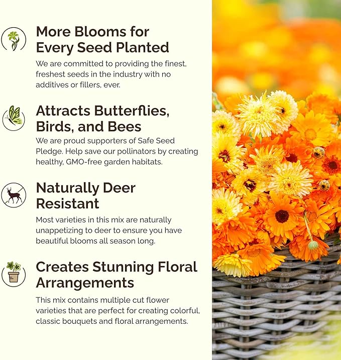 Eden Brothers Partial Shade Wildflower Mixed Seeds for Planting, 1 lb, 480,000+ Seeds with Sweet William, Foxglove | Attracts Pollinators, Plant in Spring or Fall, Zones 3, 4, 5, 6, 7, 8, 9, 10