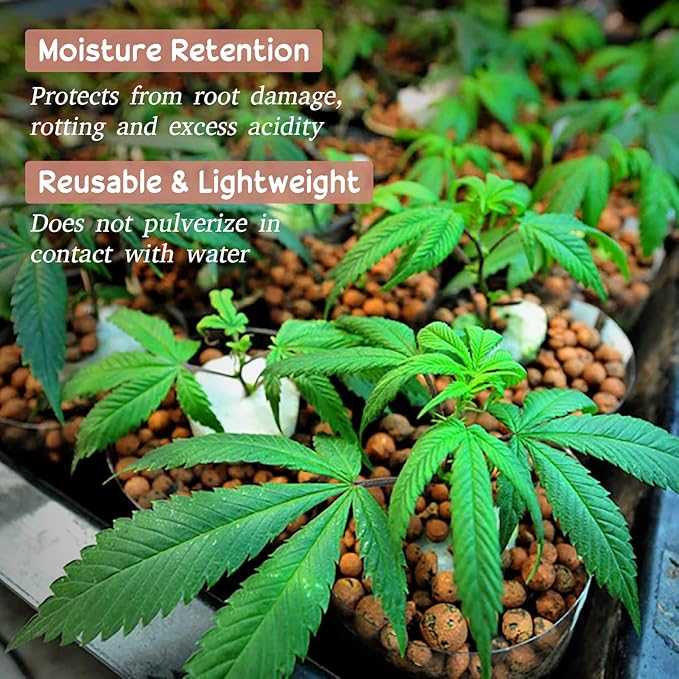 Legigo 8 LB Organic Leca Clay Pebbles for Plants, 4mm-16mm 100% Natural Leca Balls for Indoor Plants, Hydroton Clay Pebbles for Plants Hydroponic Aquaponics Growing Orchid Drainage Terrarium