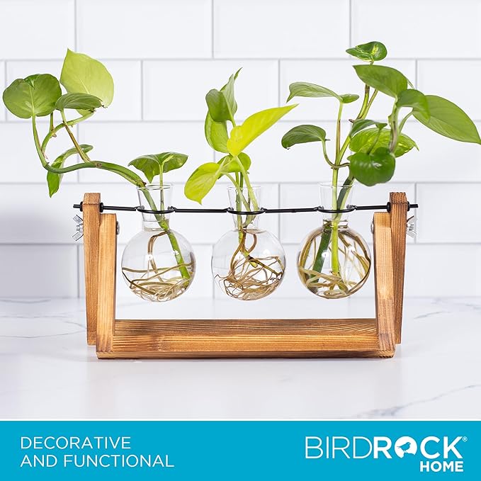 BIRDROCK HOME Plant Propagation Station | 3 Bulb Vase with Wooden Stand Terrarium | Great Gift Idea for The Home Office Garden | Hydroponics Plants