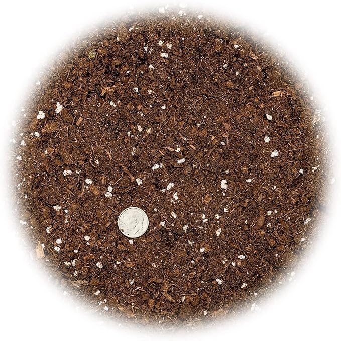 Premium Dracaena Potting Soil Mix - (4 Quart Bag)