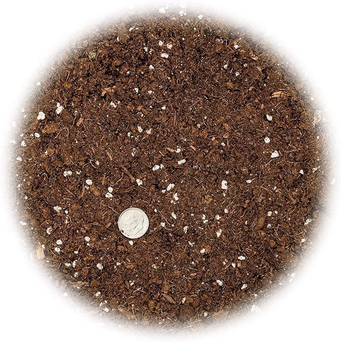 Fiddle Leaf Fig House Plant Soil Premium All Purpose Blend - Peat Moss, New Zealand Bark, Coco Chips and Fibers, Perlite - 1 Quart Bag