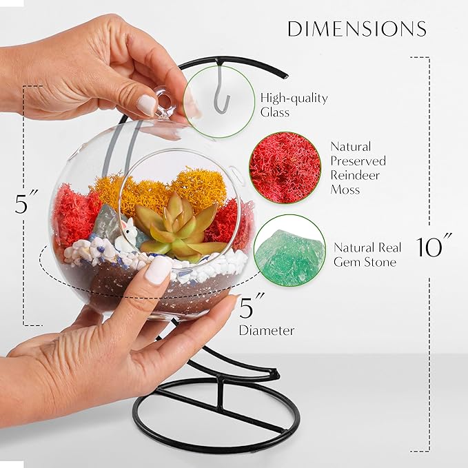 5" Glass Globe Succulent Terrarium Kit, Hanging DIY Starter Kit for Kids and Adult, Metal Stand, Reindeer Moss, Crystal & Rocks, Tools, Figurine (Live Plant Included)