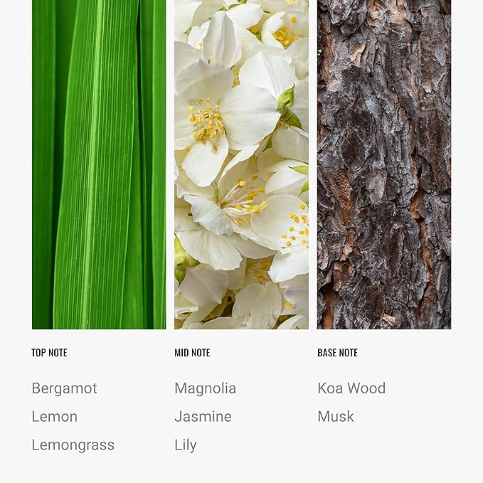 Hotel Collection Diffuser Oil - 24K Magic - Aromatherapy Essential Fragrance Oil - Citrus, Lemongrass, and Jasmine - 50mL 1.7 Fl oz