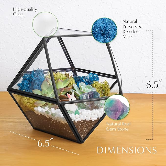 DIY 7" Geometric Terrarium Kit with Live Plants - Build Your Own Glass Terrarium for Adults & Kids with Moss, Crystals, Tools & Decor - Mini Ecosystem - Handcrafted in The USA