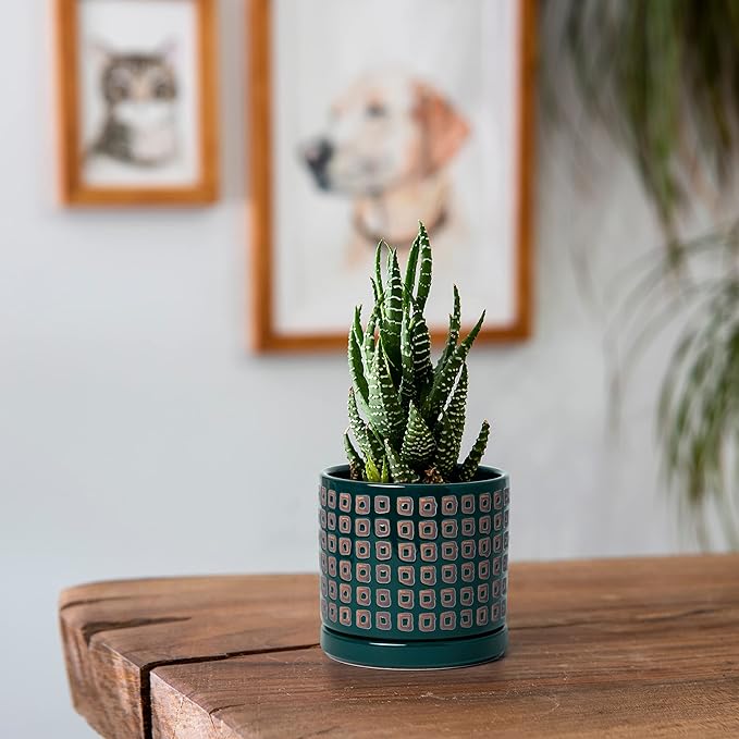 D'vine Dev Set of 2 Ceramic Planter Pots with Drainage Hole and Saucer, 4.5 Inch 6 Inch Plant Pots for Plants Indoor Houseplants, Green, 99-A-4