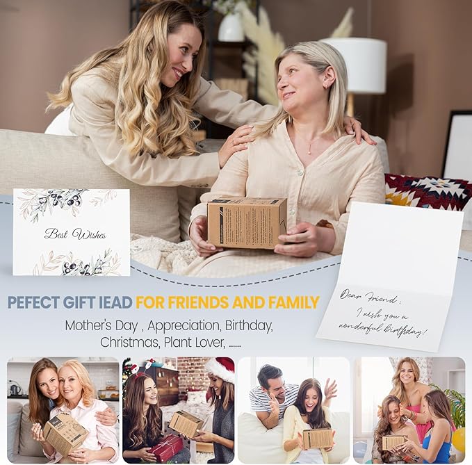 Glass Plant Mister Spray Bottle, 13.5 oz Refillable Plant Misters for Inside, Pretty Glass Spray Bottles for Cleaning, Hair, Cat, Succulent, Houseplant with Adjustable Mist Nozzle (Blue)