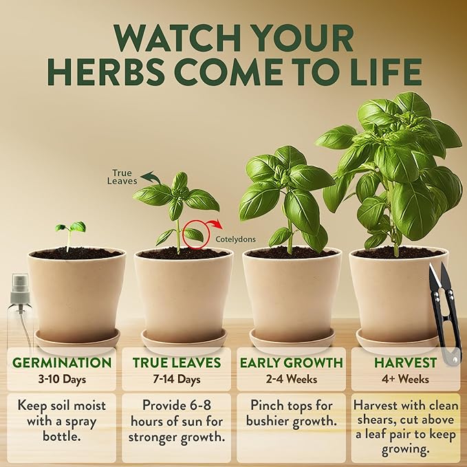 HOME GROWN Indoor Herb Garden Kit – Unique Christmas Gift for Adults, Men, & Women - Grow 4 Heirloom Herb Seeds for Kitchen Window Garden – Beginner DIY Craft & Hobby Gardening Gift for Plant Lovers