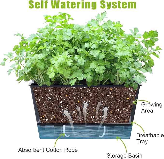 Window Box Planter 6 Pcs, 12.1 Inches Self Watering Plant Pots Rectangle Flower Pots with Drainage Holes and Breathable Trays, Vegetable Planters for Windowsill Patio Garden Balcony Porch Yard (Black)