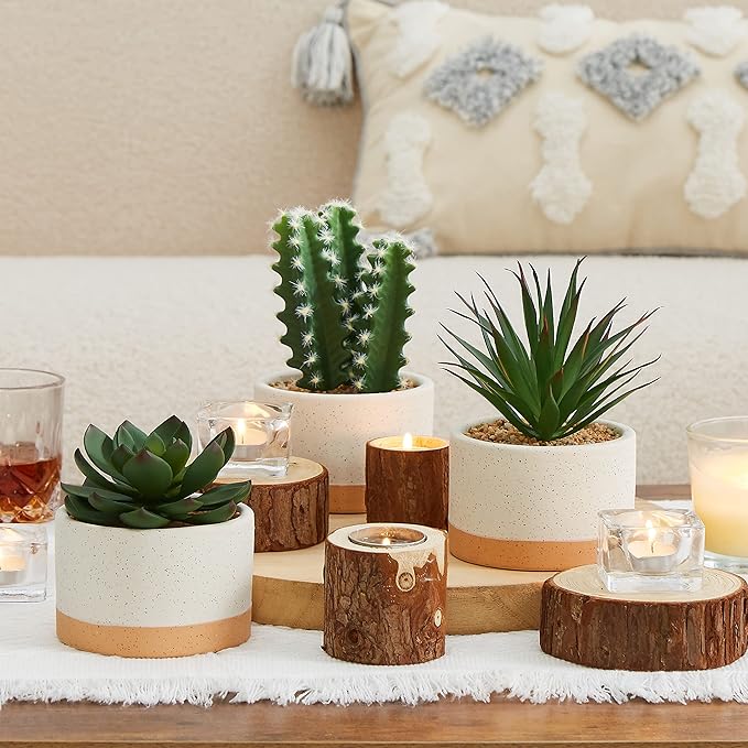 Artificial Succulent Plants in Ceramic Pots, Faux Assorted Succulents Fake Cactus Plants for Home Decor, Bedroom, Office, Desk, Living Room, Set of 3…