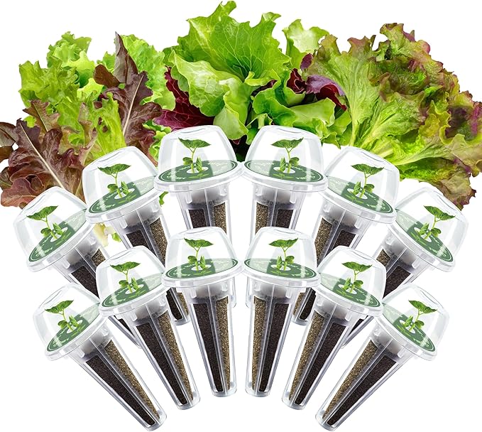 Lettuce Seed Pods Kit for Hydroponic, 12 Pods Red&Green Leaf Lettuce Grow Anything Kit for Indoor Hydroponics Growing System, Hydroponics Supplies with 12 Grow Sponges, 12 Plant Baskets
