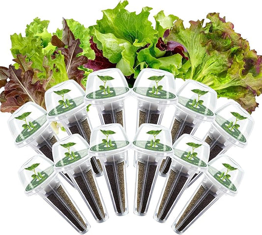 Lettuce Seed Pods Kit for Hydroponic, 12 Pods Red&Green Leaf Lettuce Grow Anything Kit for Indoor Hydroponics Growing System, Hydroponics Supplies with 12 Grow Sponges, 12 Plant Baskets