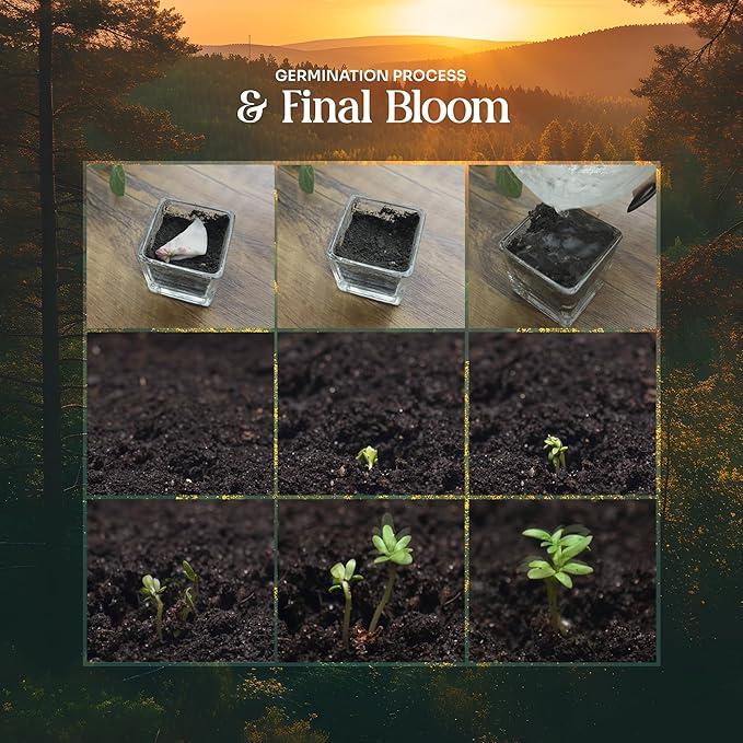 Plantable Bottle Shaped Seed Paper – 5 Pink Baby Shower Favors for Guests with Wildflower Seeds, Baby Shower Gifts for Guest