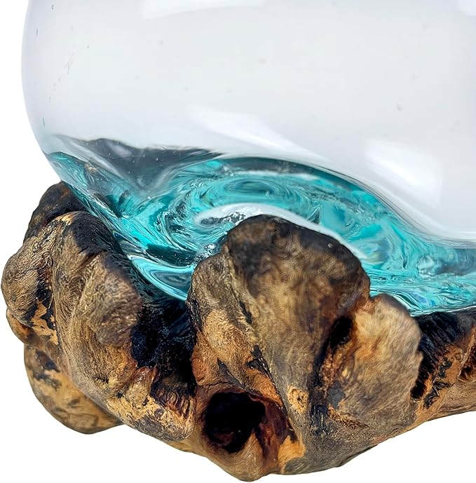 Melted Glass on Burl Wood Decorative Bowl, Vase, and Terrarium Planter - Approximately 5 Inches High - Nature-Inspired Artistry for Home and Garden