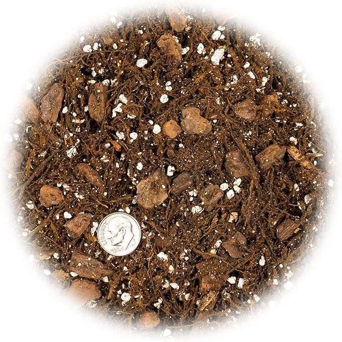 Alocasia Plant Potting Soil - Enhance Leaf Beauty and Health with Professional Grade Nutrient-Rich Mix - 3 Quart