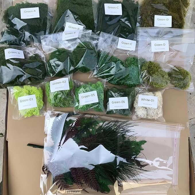 DIY Crafts Assorted Moss Kit Mixed Preserved Stabilized Moss Pillow Cushion Natural Green Real Decoration Sample